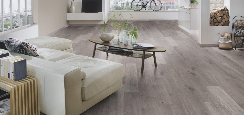 laminate 8mm jm1895