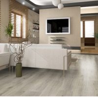 JB8026 saloni