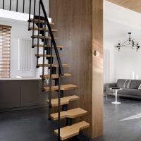 ATRIUM MINI_9005_bEECH BLACK