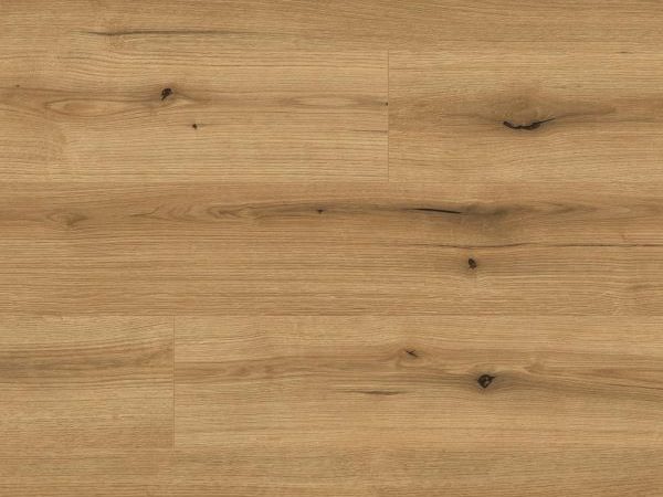 Special offer Κ5573 Kaindl Laminate 8mm AC4/32 με αρμό μέχρι εξαντλήσεως