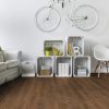 Laminate 2910 me armo